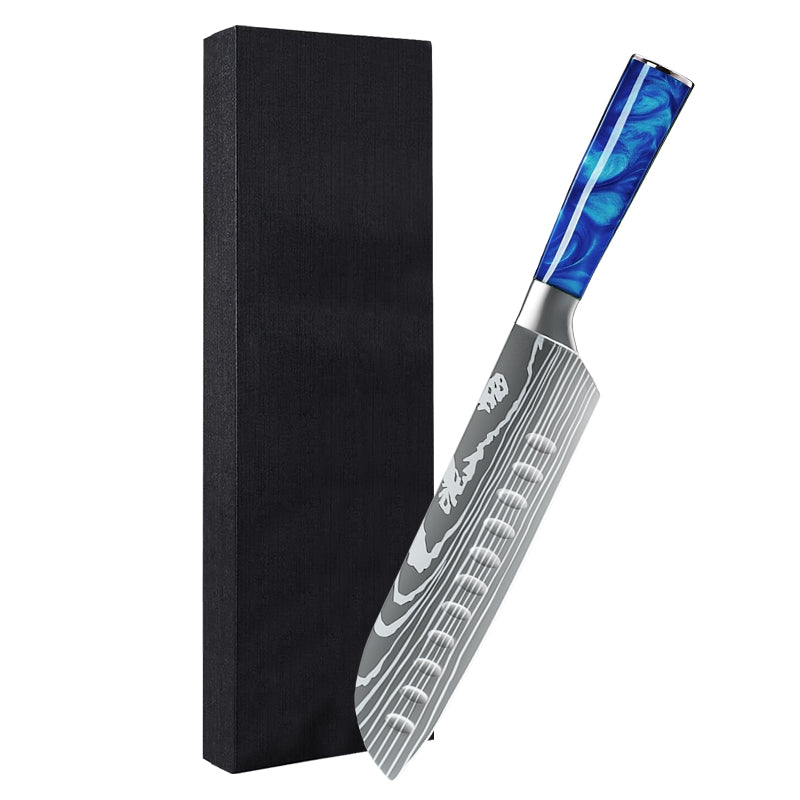 Blue Resin Handle Kitchen Knife with Sheath