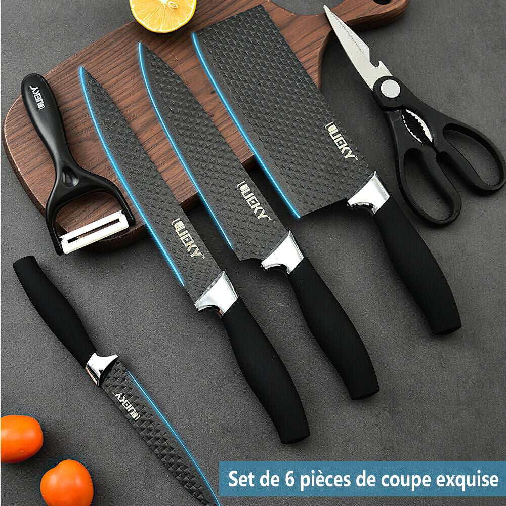 6 Pcs Kitchen Knife Set, Professional Chef Knife Set, Stainless Steel  Knife Set with Gift Case