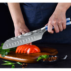 8-Piece Butcher Knife Set with Blue Resin Handle & Nylon Roll Bag