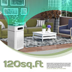 USB Powered Air Purifier with HEPA Replacement Filter
